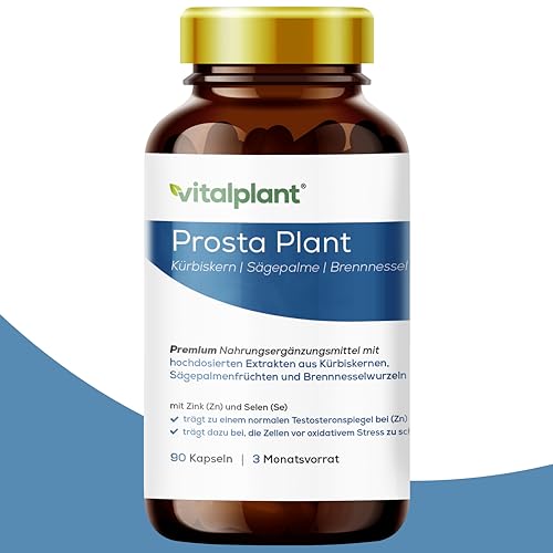 Vitalplant Sägepalme